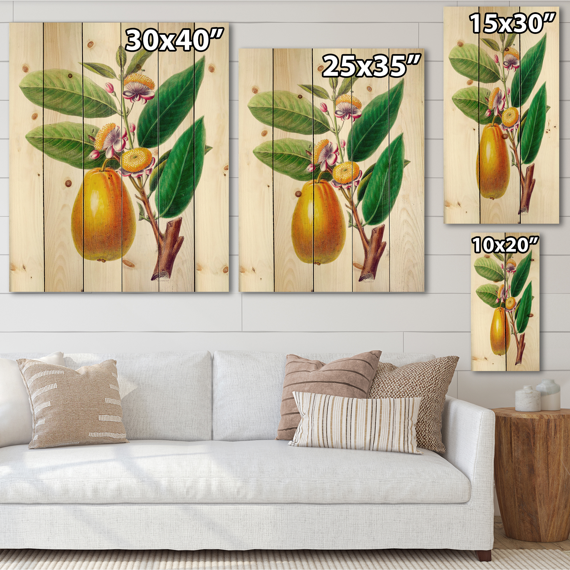 Designart 'Ancient Fruits I' Farmhouse Print on Natural Pine Wood