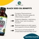 thumbnail image 5 of Aceite de semillas negras Amazing Herbs Premium, 120 ml, prensado en frío, 5 of 7