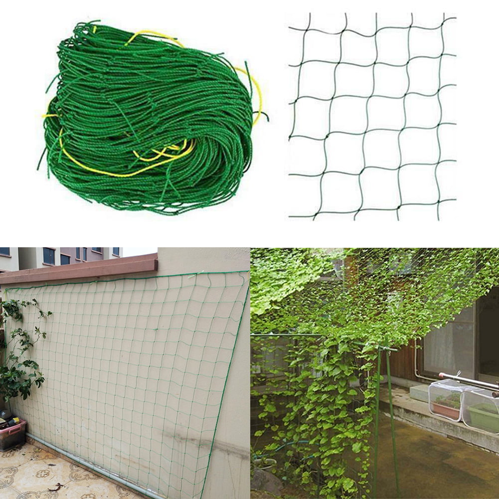 Details about   Garden Plant Climbing Net Trellis Netting Mesh Support Fruits Vine Veggie Bean 
