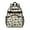 Colorful Dinosaurs Scientific, variant on Colorful Dinosaurs Silhouettes Pattern Backpack for School,Cute School Bag,Schoolbag with Adjustable Shoulder Straps & Padded Back,15.25"x11.5"x5.25"