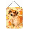 thumbnail image 1 of Carolines Treasures BB9937DS1216 Rhodesian Ridgeback Fall Wall or Door Hanging Prints, 1 of 1