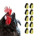 thumbnail image 4 of Rooster Collar 10 Pcs  No Crow Adjustable Chicken Collar Cock Collar Prevent Chickens From Screaming Disturbing Neighbors, 4 of 7