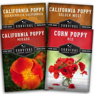Red American Legion Poppy Seeds, 3000 Heirloom Flower Seeds per Packet, Non GMO Seeds, Isla's Garden Seeds