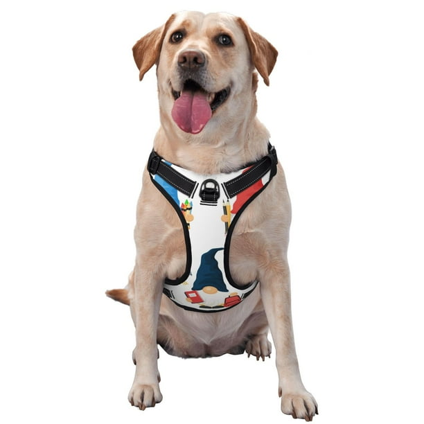 Balery School Cute Gnomes Arnés para Perros Grandes Antitirones, Arnés con Correa para Gato, Arnés Tipo Chaleco para Perros Pequeños-Medium