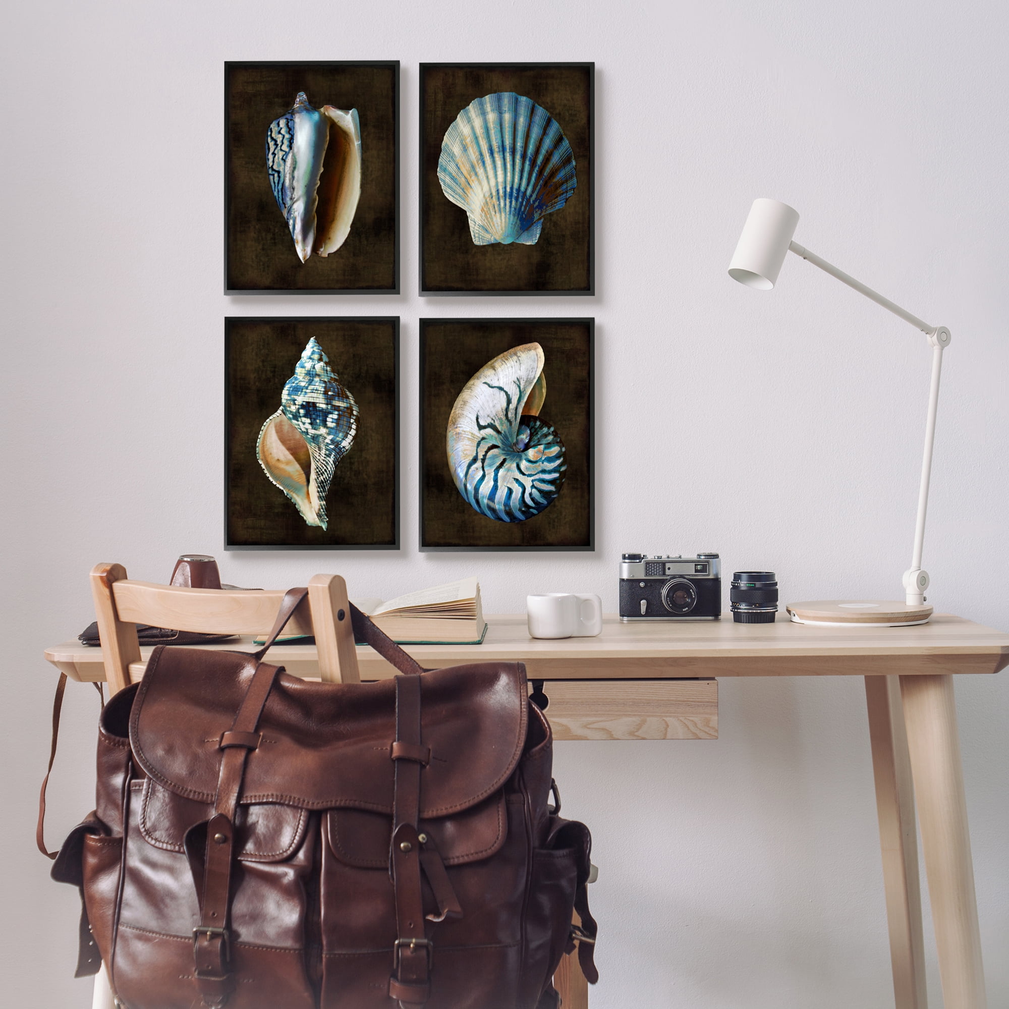 Stupell Industries Seashells on Black Animals & Insects Painting Black Framed Art Print Wall Art, 11 x 14, Set of 4