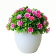 thumbnail image 2 of SPRING PARK Artificial Flower Bonsai Grass Ball Potted Plant Home Room Wedding Decor, 2 of 7