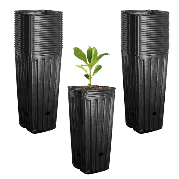 50pcs Plastic Deep Plant Nursery Pots - 9.8" Tall Black Tree Pots with Drainage Holes for Seedlings Indoor Outdoor Gardening