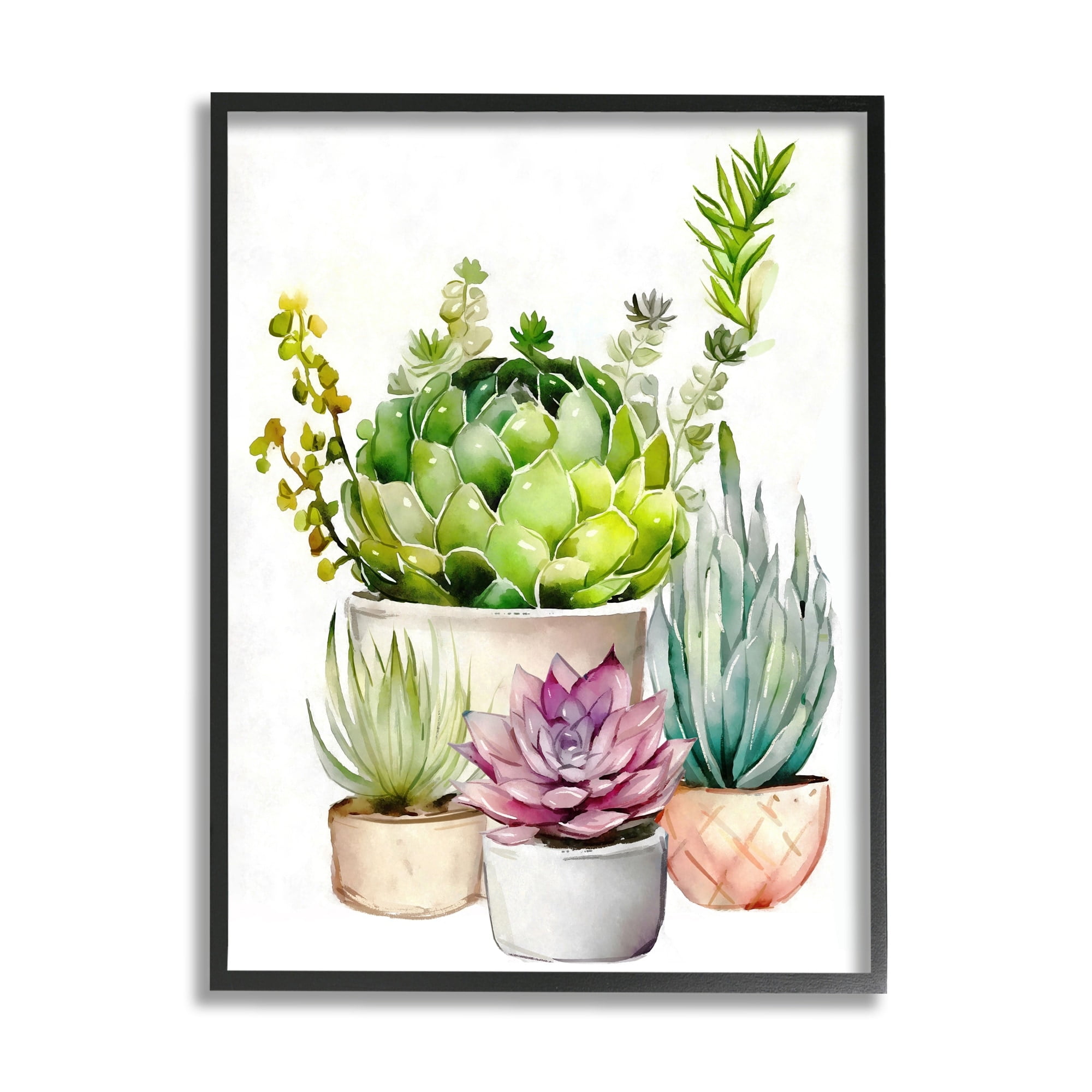 Stupell Industries Varied Succulent Garden Plants Botanical & Floral Painting Gray Framed Art Print Wall Art