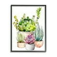 thumbnail image 2 of Stupell Industries Varied Succulent Garden Plants Botanical & Floral Painting Gray Framed Art Print Wall Art, 2 of 5