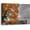Scenery, variant on Canvas Wall Art for Living Room Scenery Artwork for Bathroom Modern Prints Wall Painting Wall Decor for Bedroom Landscape Tree Oil Paintings for Kid Room Size 11.5"x15"