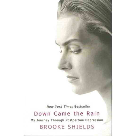 Pre-Owned Down Came the Rain: My Journey Through Postpartum Depression (Paperback) 1401308465 9781401308469