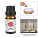 thumbnail image 5 of Aceite esencial puro de océano de 10 ml para humidificador, aromaterapia, hogar y dormitorio, 5 of 8