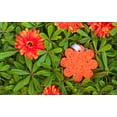 thumbnail image 3 of Esponja esponjosa Flor silvestre de lirio de los valles, 3 of 5
