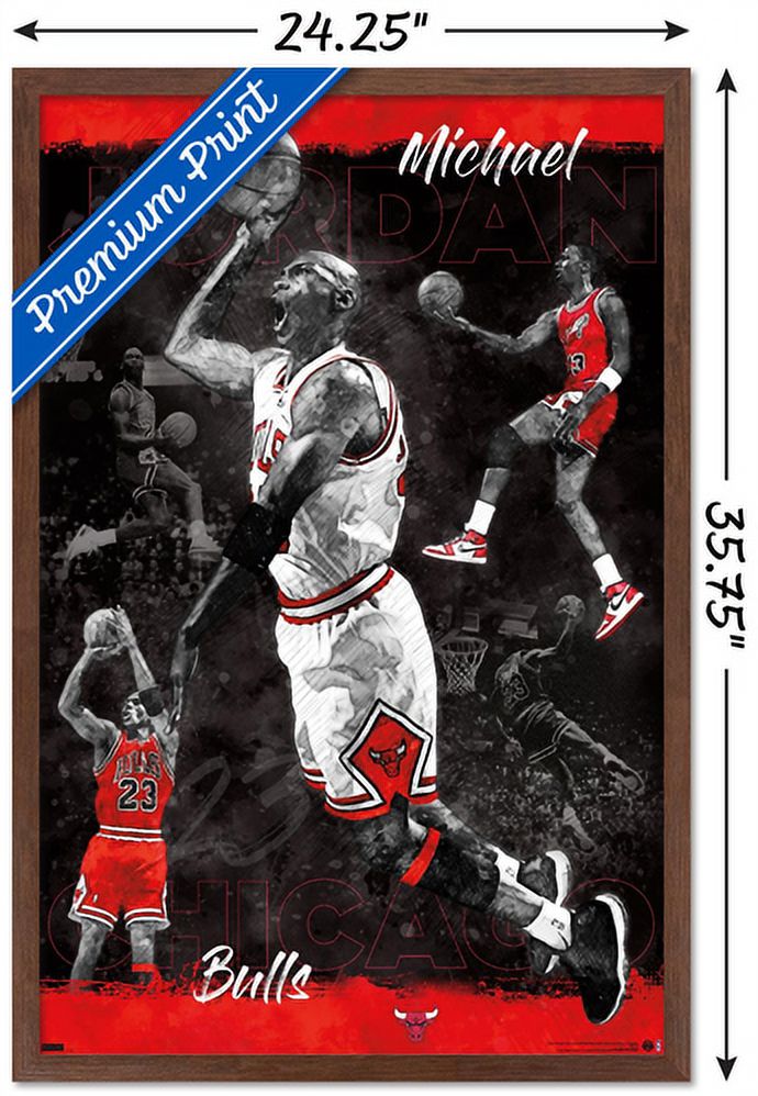 Michael Jordan - Sketch Wall Poster, 22.375" x 34", Framed
