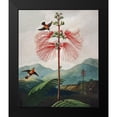 thumbnail image 2 of Thornton, Robert John 20x23 Black Modern Framed Museum Art Print Titled - Large Flowering Sensitive Plant from The Temple of Flora, 2 of 5