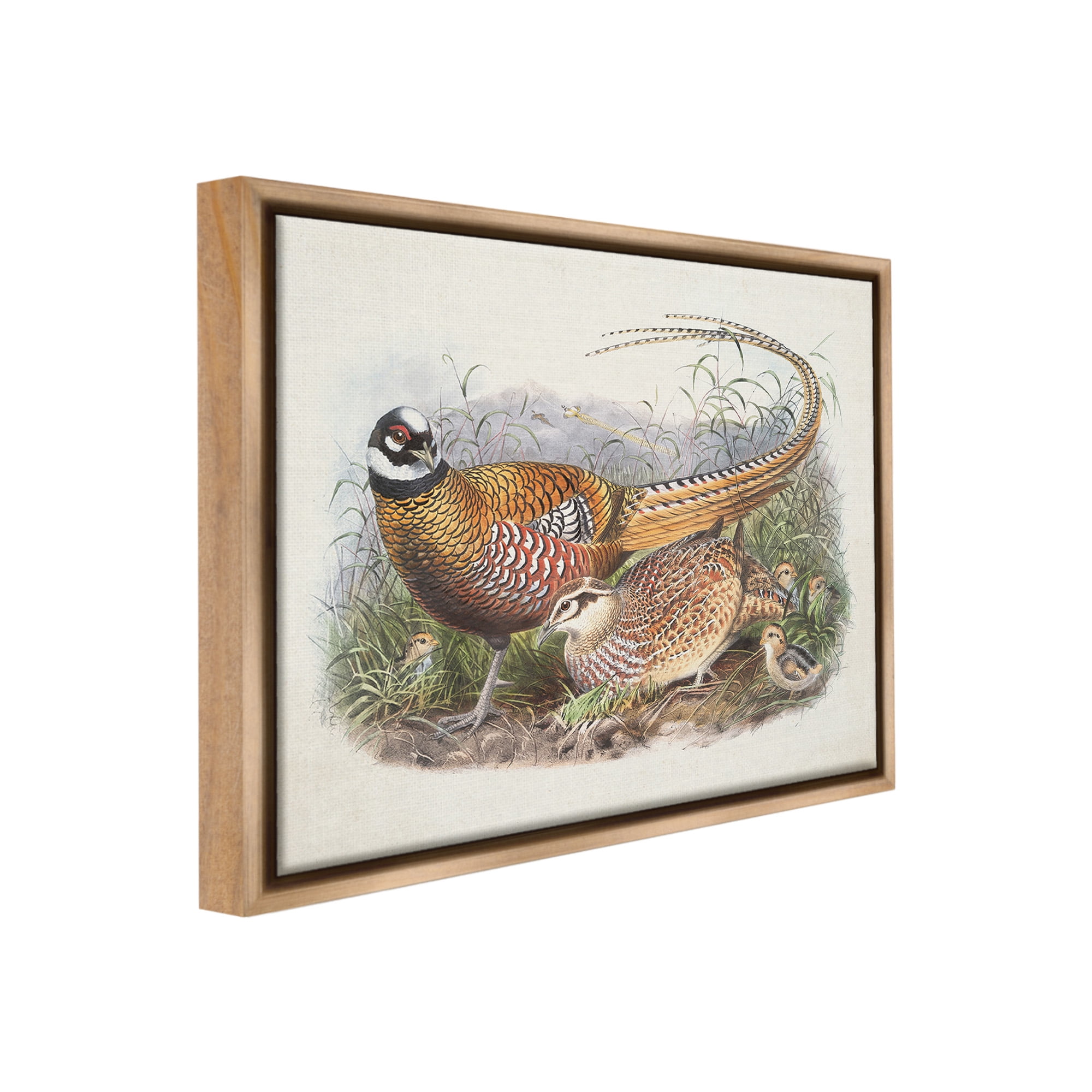 Stupell Industries Pheasant Family in Nature Animals & Insects Painting Brown Floater Framed Canvas Art Print Wall Art, 21 x 17