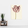 thumbnail image 2 of Red White Tulip Flowers Nature Painting Extra Large XL Wall Art Poster Print, 2 of 3