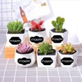 thumbnail image 1 of 300 Piece Waterproof PVC Label Stickers Removable PVC PVC Label Stickers Label Stickers Self-adhesive Sticker Kitchen Home And Office Decoration, 1 of 7