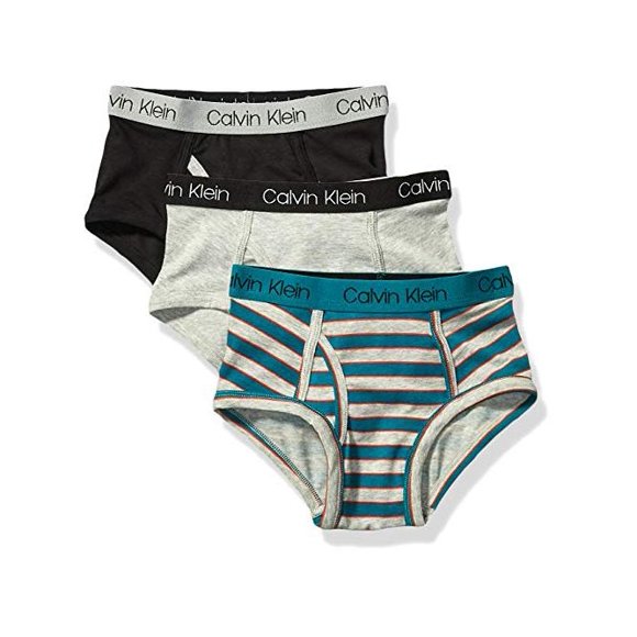 Calvin Klein Little Boys' Modern Cotton Assorted Briefs Underwear, Multipack, Sea Green Stripe, Heather Grey, Black, 16-18