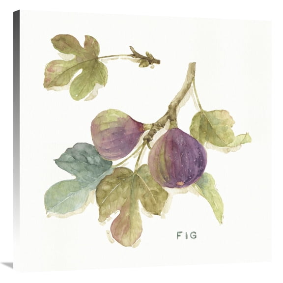 Global Gallery's 'Orchard Bloom III' By Lisa Audit Stretched Canvas Wall Art