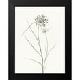 thumbnail image 2 of Villa, Mlli 15x18 Black Modern Framed Museum Art Print Titled - Sprout, 2 of 5