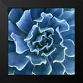 thumbnail image 2 of Bell, Jan 12x12 Black Modern Framed Museum Art Print Titled - Ruffled Edges, 2 of 5