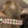 thumbnail image 4 of collier En Perle Rose Pour Animaux De Compagnie, Collier En Cuir Synthtique Avec Strass, Collier Ajustable En Cuir Pu, Collier En Perle Pour Chiot, 4 of 5