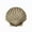 Brass, variant on Acorn Manufacturing DPAPP Artisan Collection Small Scallop Knob, Antique Pewter