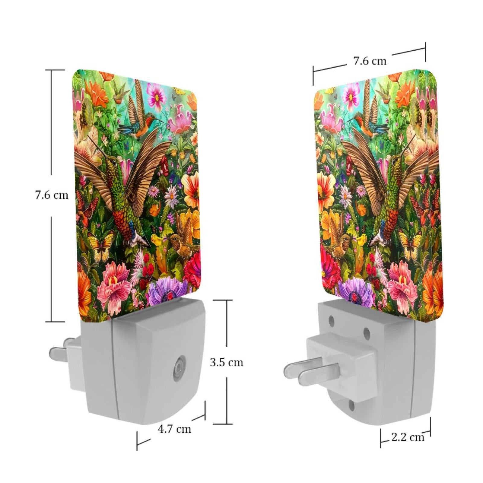 PhooArto Hummingbird Flower Painting Plug in LED Night Light Auto Sensor Dusk to Dawn Decorative Night for Bedroom, Bathroom, Kitchen, Hallway, Stairs, Baby's Room, Energy Saving