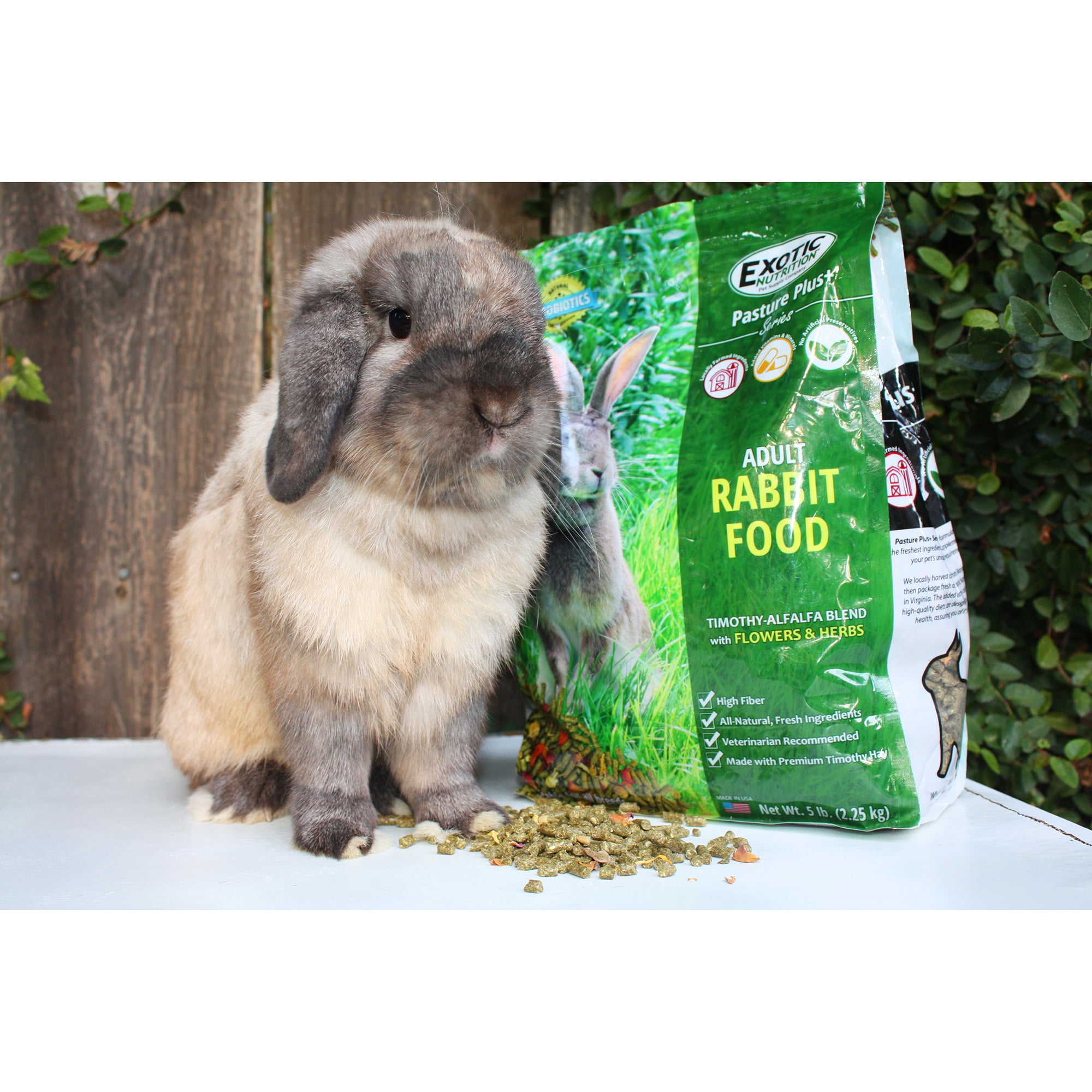 Exotic Nutrition Pasture Plus+ Adult Rabbit Food 10 lb.