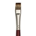 thumbnail image 1 of CEPILLO REAL ROYAL BRUSH RYL9501012, 1 of 1