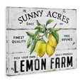thumbnail image 4 of Stupell Industries Sunny Acres Lemon Farm Food & Beverage Painting Wrapped Canvas Art Print Wall Art, 20 x 16, 4 of 8