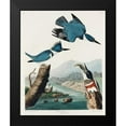 thumbnail image 2 of Audubon, John James 15x18 Black Modern Framed Museum Art Print Titled - Belted Kingfisher, 2 of 5