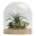 thumbnail image 3 of Home Decor Collection Glass Enclosed Faux Succulent 9.84" Terrarium Indoor Table Top Décor, 3 of 11