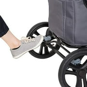 Baby Trend Expedition Expedition 2-in-1 Stroller Wagon Plus, Ultra Grey