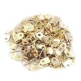 thumbnail image 1 of 10/100PCS Golden Triangle D-Ring Hanging Picture Oil Painting Mirror Frame Hooks Hangers Home Accessories, 1 of 4