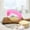 Pink, variant on 100Fens 2024 Upgrade Stainless Steel Garlic Presser Garlic Press Rocker Garlic Mincer Garlic Crusher With Peeler And Cleaning Brush Stainless Steel Garlic Mincer