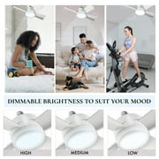Bell + Howell Socket Breeze Fan Light 4 Blades 1000 Lumens Light 15 White Socket Fan Light