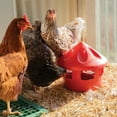 thumbnail image 4 of Poultry Grit & Oyster Shell Chicken Feeder, 4 of 7