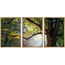 wall26 - 3 Piece Framed Canvas Wall Art - Mighty Oak Tree - Modern Home Art Stretched and Framed Ready to Hang - 24"x36"x3 Natural