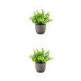 thumbnail image 1 of Decodeary Green Eco-friendly Artificial Money Tree In Pot Long-lasting Durability Realistic Appearance blue babysbreath 2Set, 1 of 6