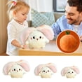thumbnail image 5 of C Large Persimmon Success Rabbit Plush Toy, 14 Inches Stuffed Doll Fruit Transform, Soft Material Collectible, 5 of 5