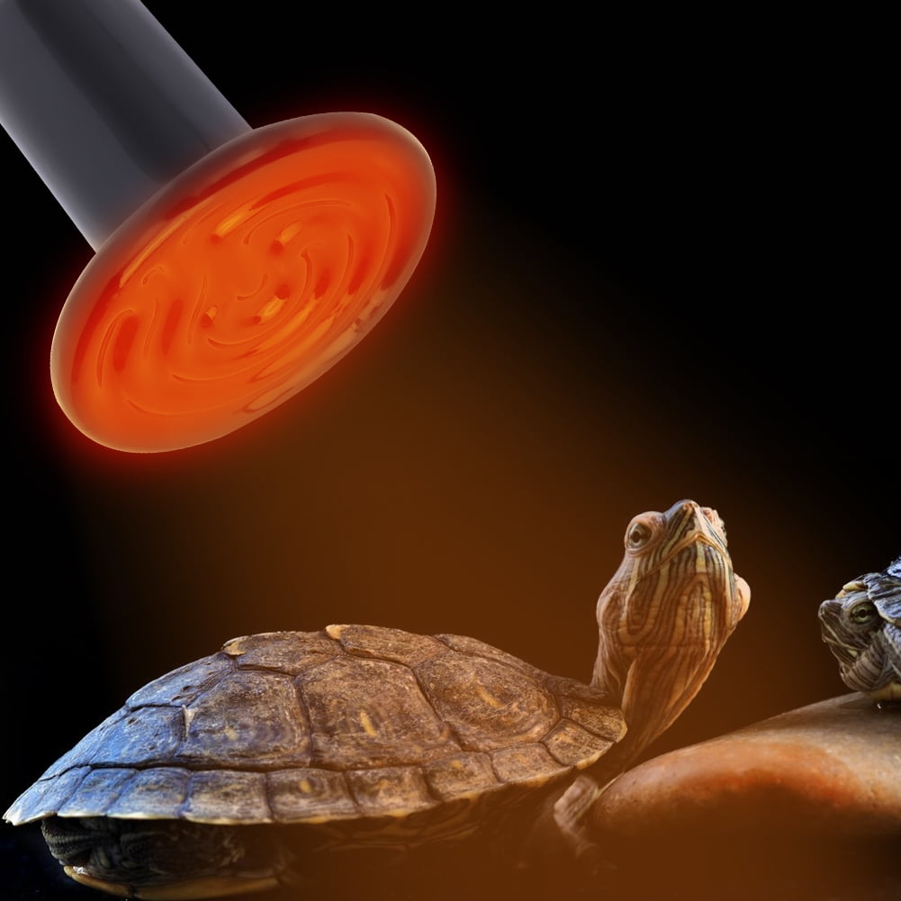 Ceramic Heating Lamp, E27 Reptile E27 Heating Lamp, Chicken Houses