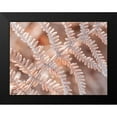 thumbnail image 2 of Frank, Assaf 14x12 Black Modern Framed Museum Art Print Titled - Frost on plant, 2 of 5