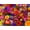 Blooming Every Daisy, variant on Springbok Quilled Flower Garden 500 Piece Jigsaw Puzzle for Adults - Poster Now Included