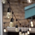 thumbnail image 4 of GL42592 24ft LED Vintage Edison Outdoor String Lights with Black Rubberized Cord, 24 Feet, 4 of 8