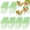 Fruit Green, variant on 200 Pcs Fruit Protection Bags Fruit Netting Bags with Drawstring for Protecting Vegetable Net Cover Reusable Mesh Bag for Garden Apple Trees(6 x 10 Inch,Green)