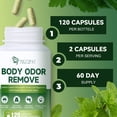 thumbnail image 3 of Migcopat Chlorophyll Body Deodorizing Supplement, Supports Fresh Breath & Whole-Body Freshness, 120 Capsules, 3 of 12