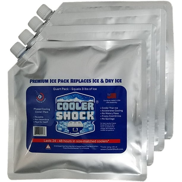 4 MidSize Cooler Freeze Packs 10" x 10” The Coldest Pack at 18 Degrees