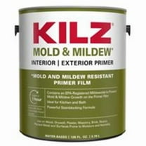 Kilz L204611 Mold & Mildew Interior/Exterior, 1 Gallon